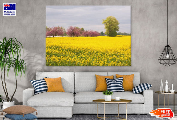 Apple Trees in Flower Field View Print 100% Australian Made Stretched Canvas Ready to Hang - 1724