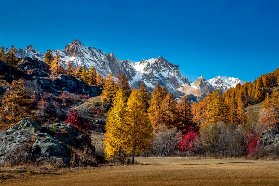 Snow Mountains & Autumn Trees Print 100% Australian Made Stretched Canvas Ready to Hang - 1045