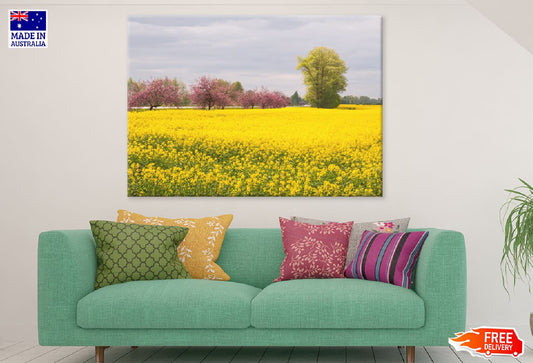 Apple Trees in Flower Field View Print 100% Australian Made Stretched Canvas Ready to Hang - 1724