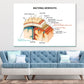 Bacterial Meningitis Vector Design Print 100% Australian Made Stretched Canvas Ready to Hang - 2429