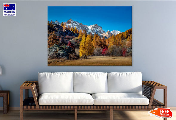 Snow Mountains & Autumn Trees Print 100% Australian Made Stretched Canvas Ready to Hang - 1045