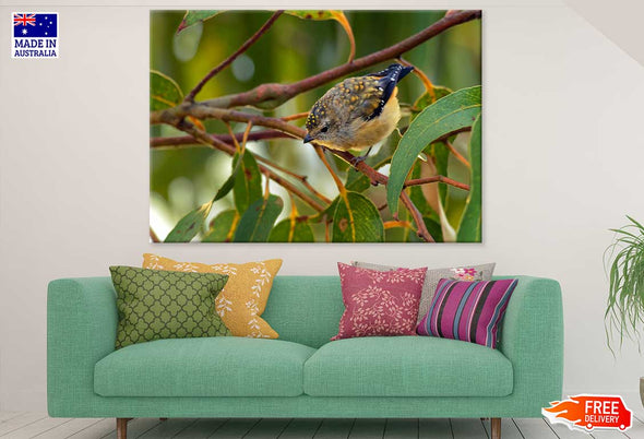 Small Hummingbird Photograph Print 100% Australian Made Stretched Canvas Ready to Hang - 1246