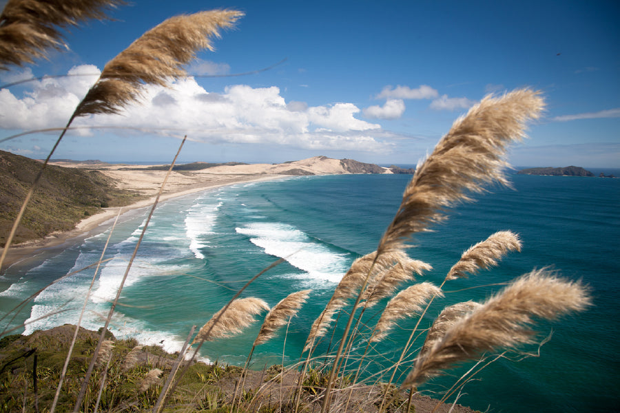 Cape Maria van Diemen Photograph Print 100% Australian Made Stretched Canvas Ready to Hang - 1394