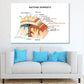 Bacterial Meningitis Vector Design Print 100% Australian Made Stretched Canvas Ready to Hang - 2429