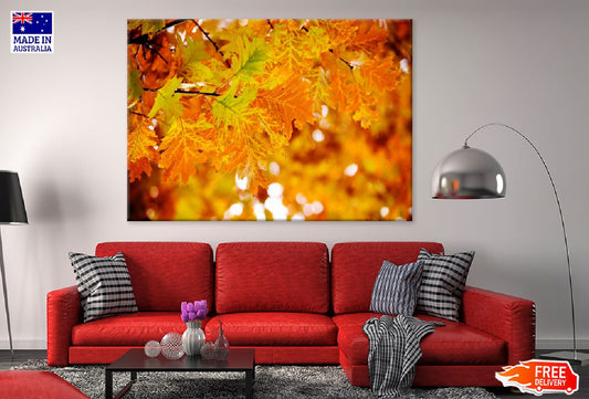 Autumn Tree Leaves Branch View Print 100% Australian Made Stretched Canvas Ready to Hang - 1725