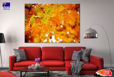 Autumn Tree Leaves Branch View Print 100% Australian Made Stretched Canvas Ready to Hang - 1725