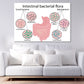Intestinal Bacterial Flora Vector Print 100% Australian Made Stretched Canvas Ready to Hang - 2431