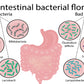 Intestinal Bacterial Flora Vector Print 100% Australian Made Stretched Canvas Ready to Hang - 2431