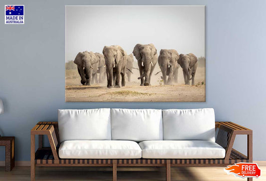 Elephants Walking on Dusty Road Print 100% Australian Made Stretched Canvas Ready to Hang - 1248