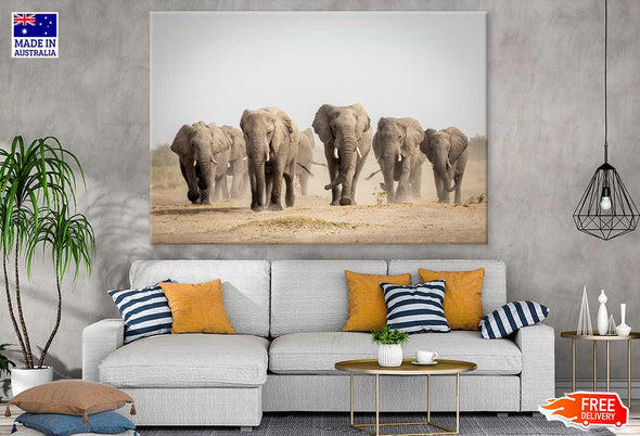 Elephants Walking on Dusty Road Print 100% Australian Made Stretched Canvas Ready to Hang - 1248