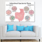 Intestinal Bacterial Flora Vector Print 100% Australian Made Stretched Canvas Ready to Hang - 2431