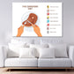 Carnivore Diet Vector Illustration Print 100% Australian Made Stretched Canvas Ready to Hang - 2432