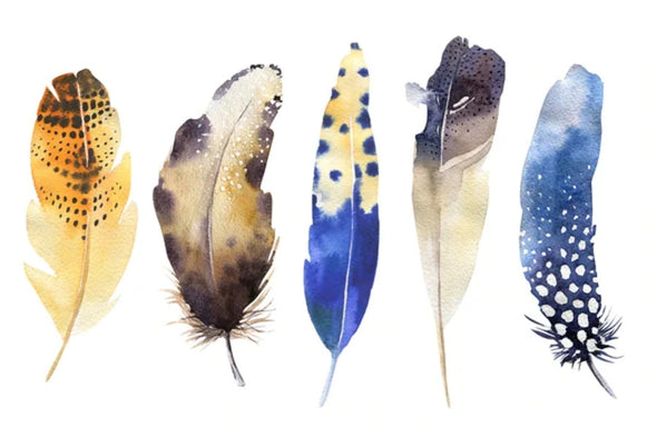 Multicoloured Feathers Watercolor Painting Print 100% Australian Made Stretched Canvas Ready to Hang - 1930