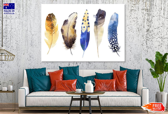 Multicoloured Feathers Watercolor Painting Print 100% Australian Made Stretched Canvas Ready to Hang - 1930