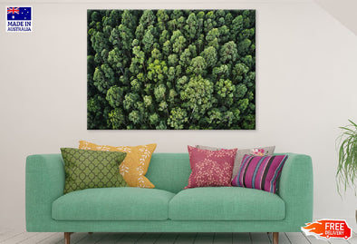 Thick Forest Trees Aerial View Print 100% Australian Made Stretched Canvas Ready to Hang - 1050