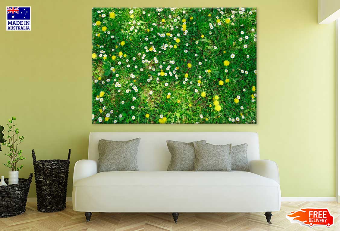 White Daisies Flower Aerial View Print 100% Australian Made Stretched Canvas Ready to Hang - 1598