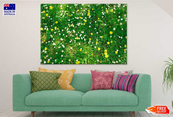 White Daisies Flower Aerial View Print 100% Australian Made Stretched Canvas Ready to Hang - 1598