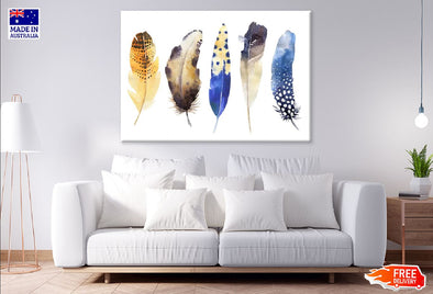 Multicoloured Feathers Watercolor Painting Print 100% Australian Made Stretched Canvas Ready to Hang - 1930