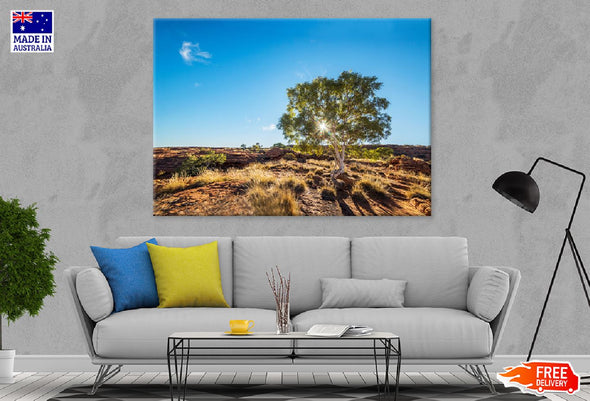 Red Gum Tree & Sunshine View Print 100% Australian Made Stretched Canvas Ready to Hang - 1728