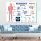 Human Neurology Anatomy Vector Print 100% Australian Made Stretched Canvas Ready to Hang - 2433