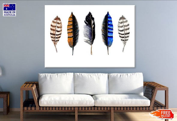 Colorful Feathers Watercolor Painting Print 100% Australian Made Stretched Canvas Ready to Hang - 1931