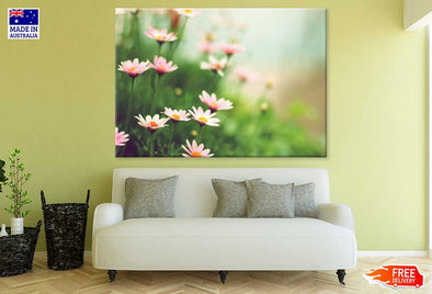 Pink Daisy Flowers Plants View Print 100% Australian Made Stretched Canvas Ready to Hang - 1599