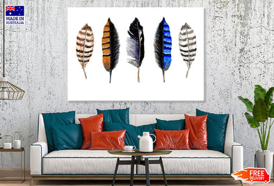 Colorful Feathers Watercolor Painting Print 100% Australian Made Stretched Canvas Ready to Hang - 1931