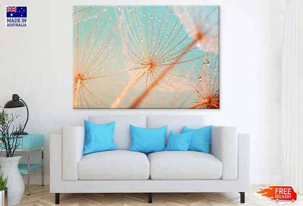 Dandelion Seed with Water Drops Print 100% Australian Made Stretched Canvas Ready to Hang - 1600