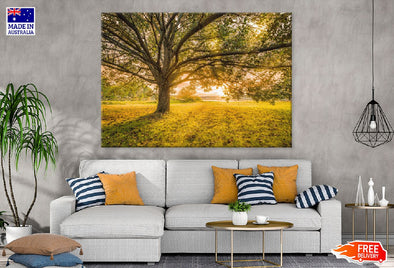 Autumn Large Tree Sunset View Print 100% Australian Made Stretched Canvas Ready to Hang - 1729