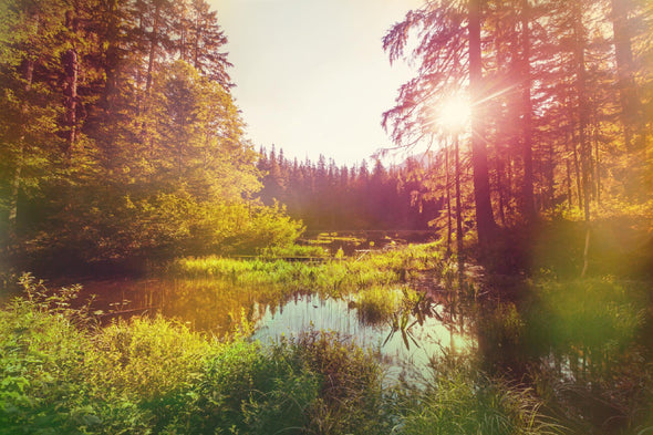 Lake with Forest Sunrise Scenery Print 100% Australian Made Stretched Canvas Ready to Hang - 1052