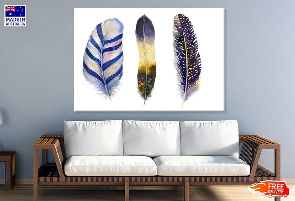 Native FeatherS Watercolor Painting Print 100% Australian Made Stretched Canvas Ready to Hang - 1933