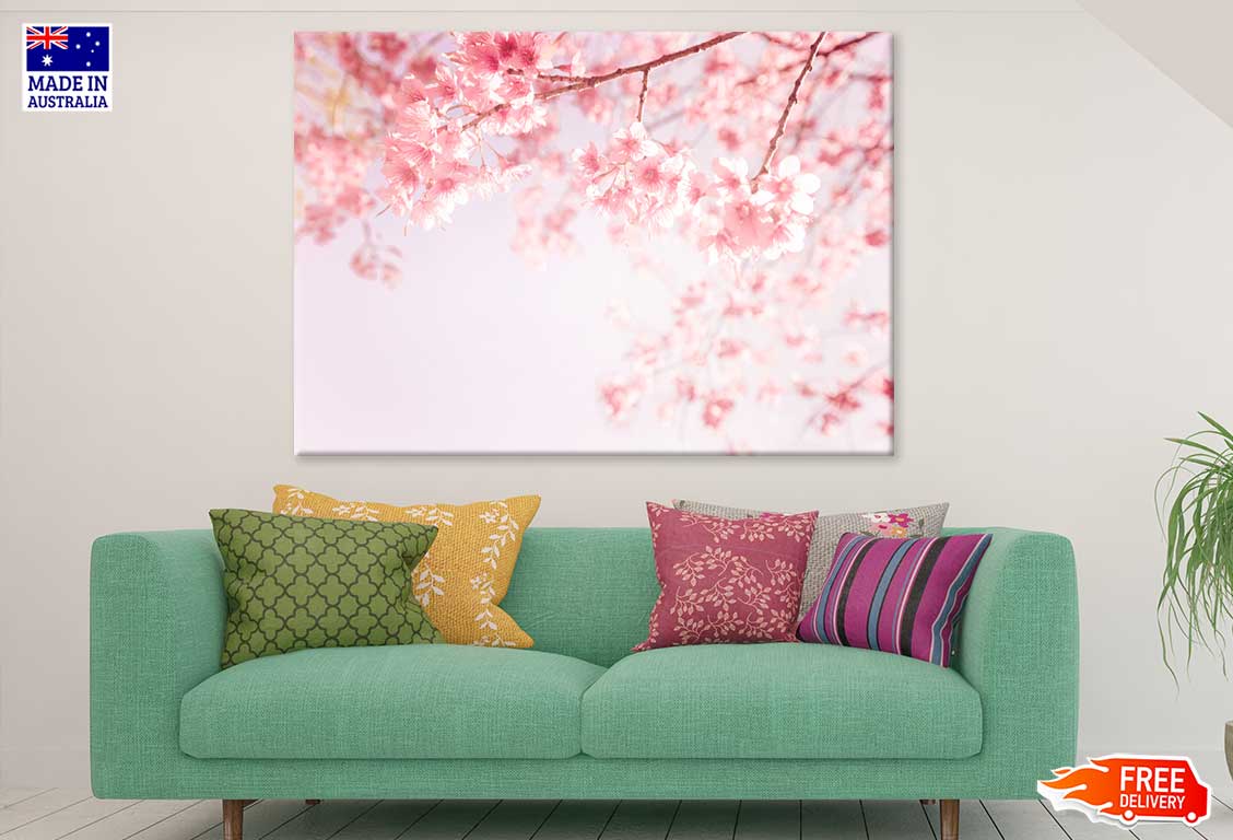 Pink Blossom Flowers Photograph Print 100% Australian Made Stretched Canvas Ready to Hang - 1601