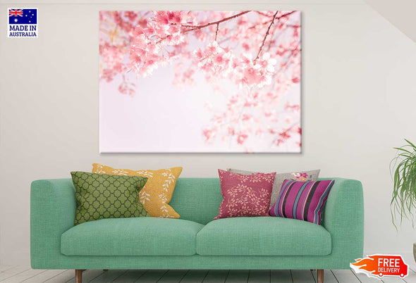 Pink Blossom Flowers Photograph Print 100% Australian Made Stretched Canvas Ready to Hang - 1601