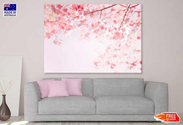 Pink Blossom Flowers Photograph Print 100% Australian Made Stretched Canvas Ready to Hang - 1601