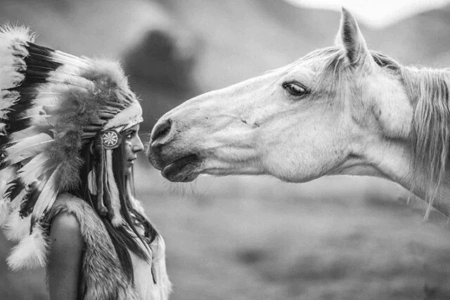 Girl Feather Headdress with Horse B&W Photograph Print 100% Australian Made Stretched Canvas Ready to Hang - 1934