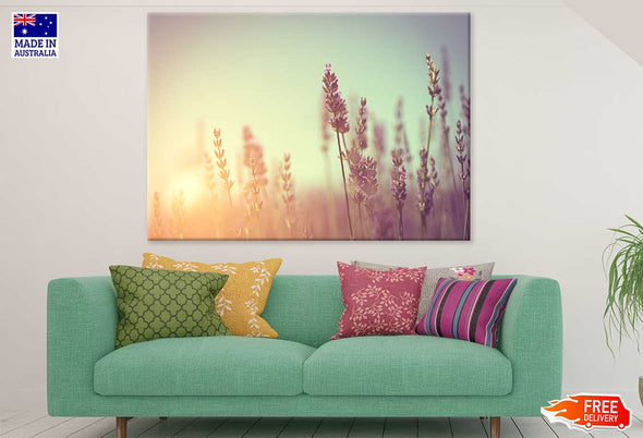 Lavender Flower Sunset Photograph Print 100% Australian Made Stretched Canvas Ready to Hang - 1602