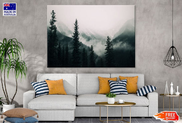 Tall Tree Forest Mountains & Fog Print 100% Australian Made Stretched Canvas Ready to Hang - 1053