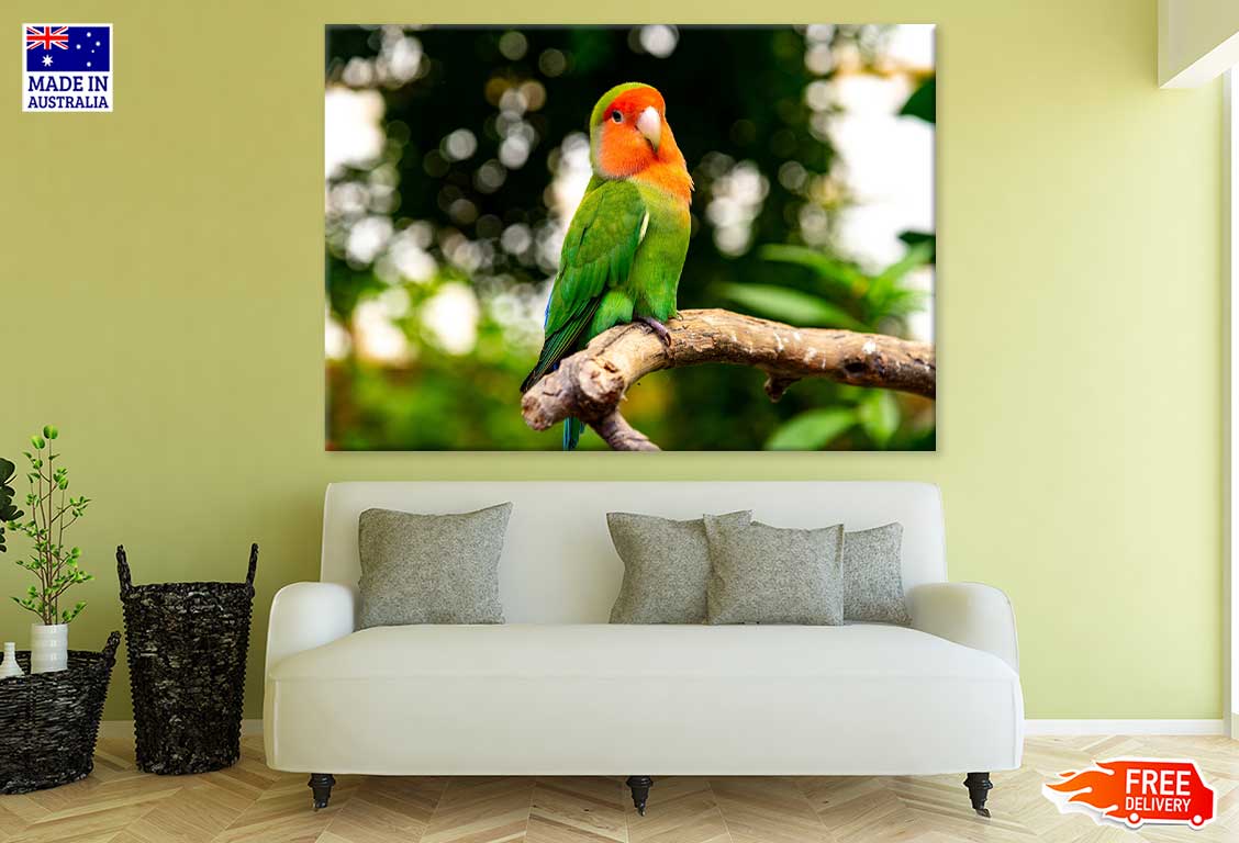 Green Parrot & Orange Face View Print 100% Australian Made Stretched Canvas Ready to Hang - 1254