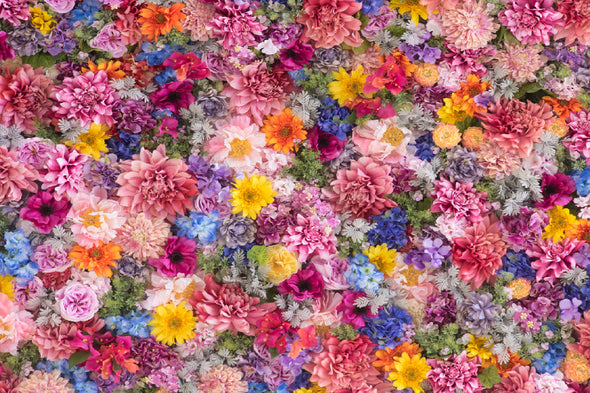 Colorful Flower Wall Photograph Print 100% Australian Made Stretched Canvas Ready to Hang - 1603