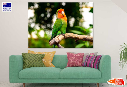 Green Parrot & Orange Face View Print 100% Australian Made Stretched Canvas Ready to Hang - 1254