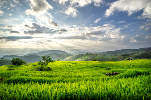 Terraced Rice Fields Mountains Print 100% Australian Made Stretched Canvas Ready to Hang - 1054