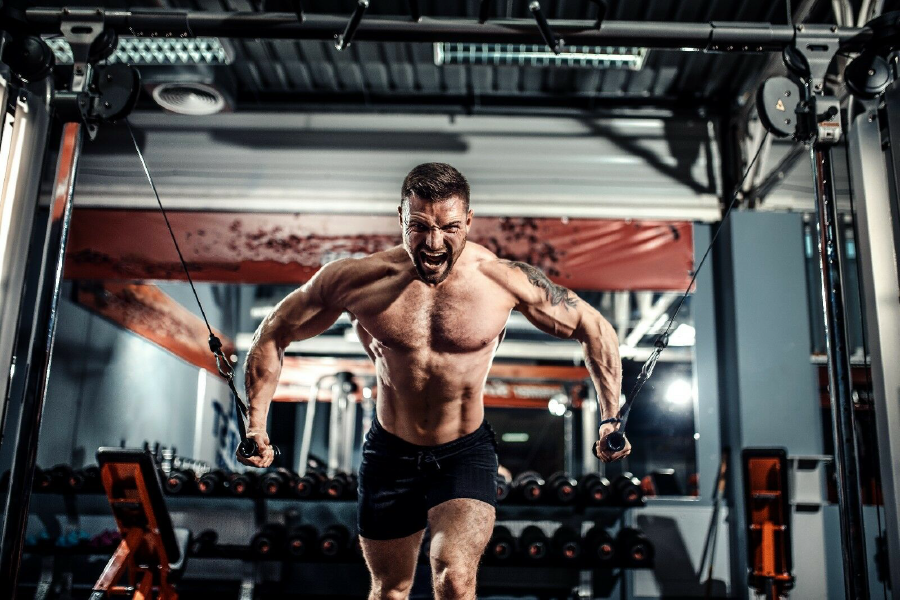 Muscular Man Workout in Gym Photograph Print 100% Australian Made Stretched Canvas Ready to Hang - 2235