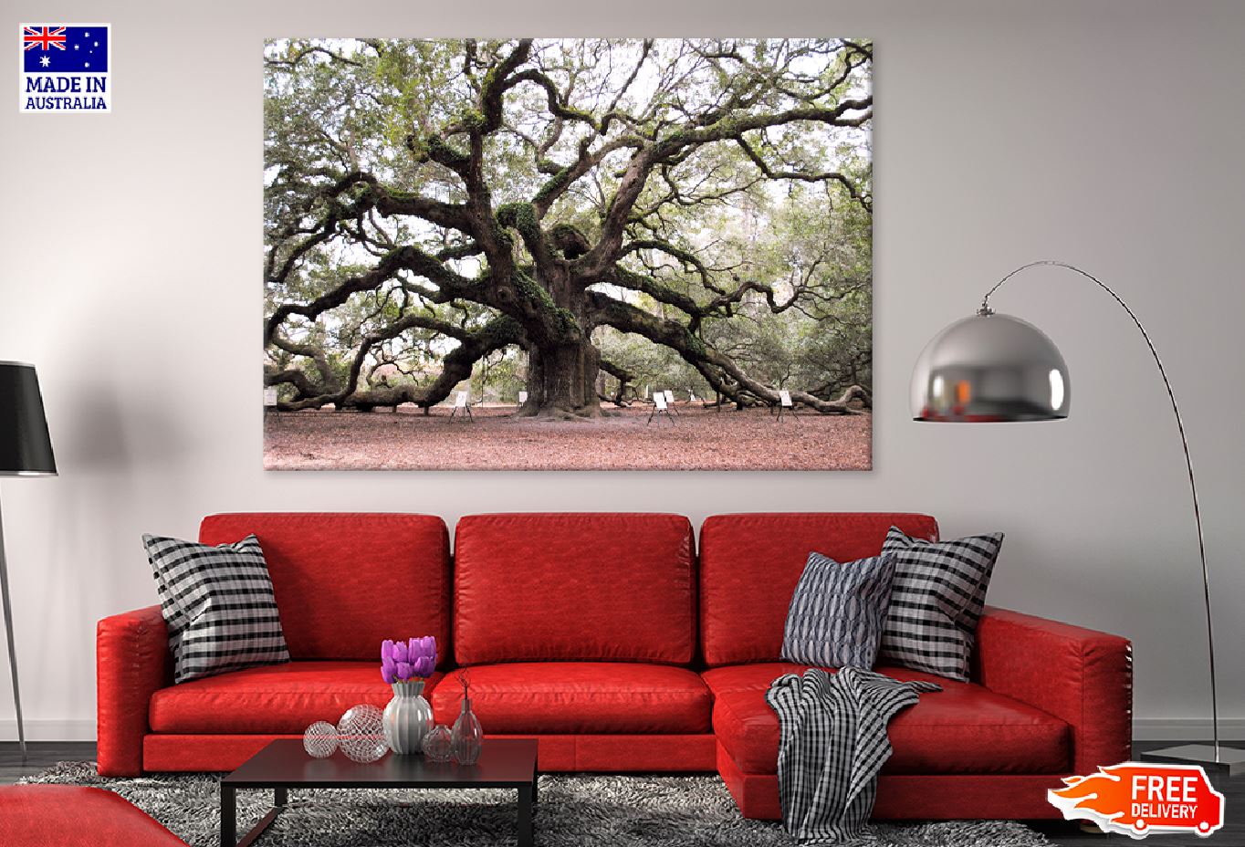 Angel Oak Tree Photograph in US Print 100% Australian Made Stretched Canvas Ready to Hang - 1733