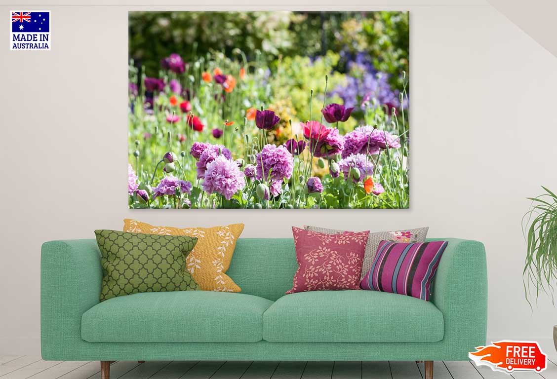 Flowers Garden View Photograph Print 100% Australian Made Stretched Canvas Ready to Hang - 1605