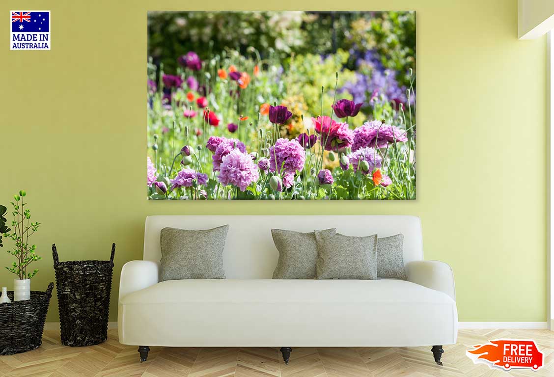 Flowers Garden View Photograph Print 100% Australian Made Stretched Canvas Ready to Hang - 1605