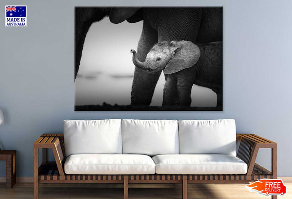 Baby Elephant Closeup Photograph Print 100% Australian Made Stretched Canvas Ready to Hang - 1256