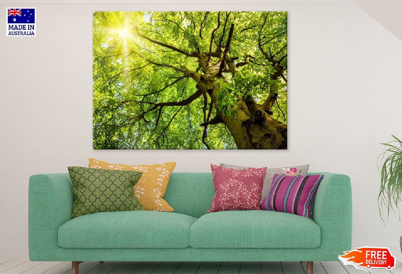 Beech Treetop Sunshine Scenery Print 100% Australian Made Stretched Canvas Ready to Hang - 1734