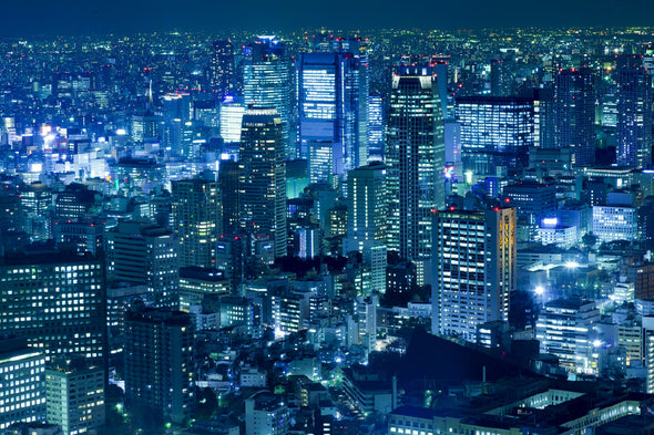 Tokyo Japan Dense City Skyline Print 100% Australian Made Stretched Canvas Ready to Hang - 1505