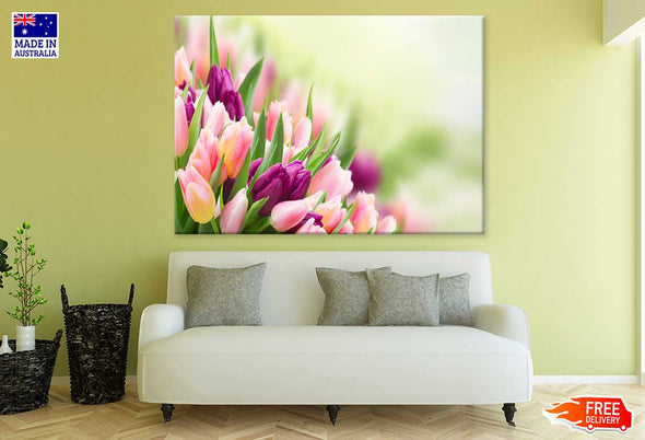 Pink & Maroon Tulip Flowers View Print 100% Australian Made Stretched Canvas Ready to Hang - 1606