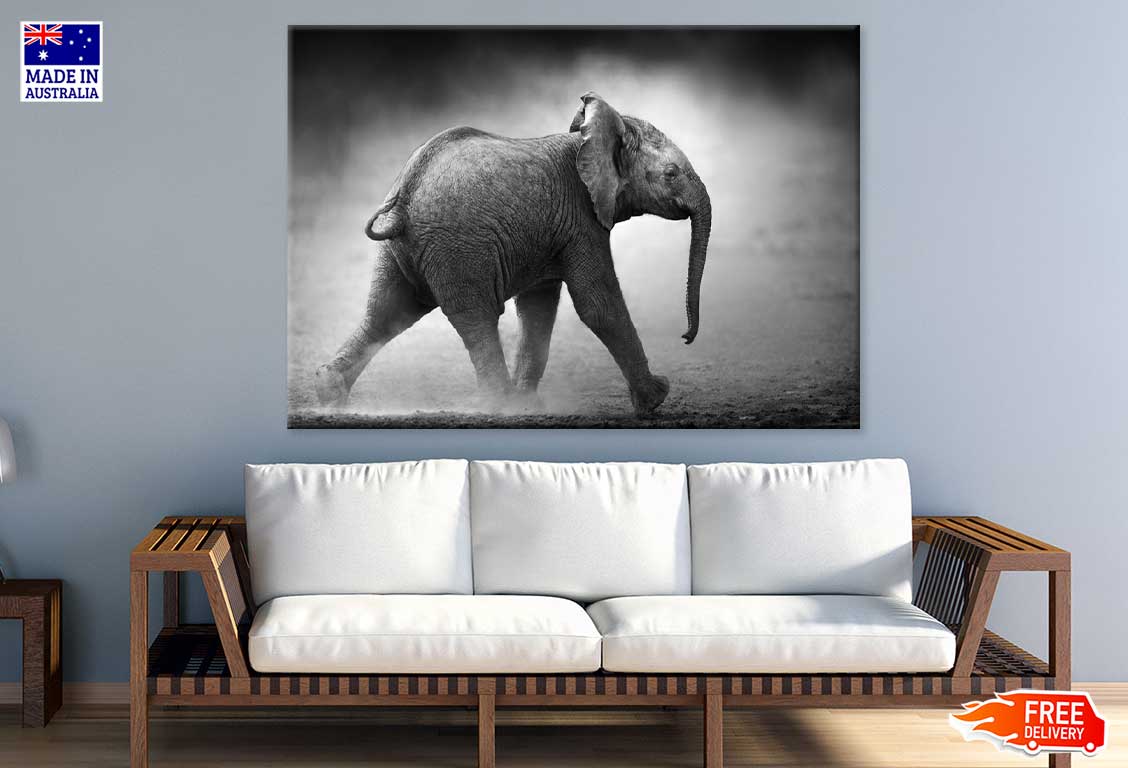 Baby Elephant B&W View Photograph Print 100% Australian Made Stretched Canvas Ready to Hang - 1257